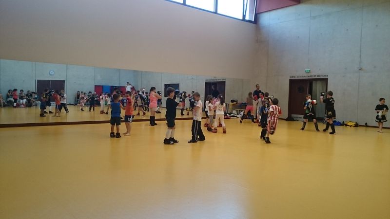 Passage ceintures jeunes 2015 - Energy Fight Club dsc_0045.jpg (large)