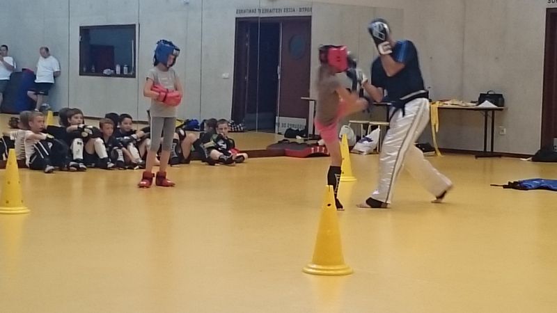 Passage ceintures jeunes 2015 - Energy Fight Club dsc_0127.jpg (large)