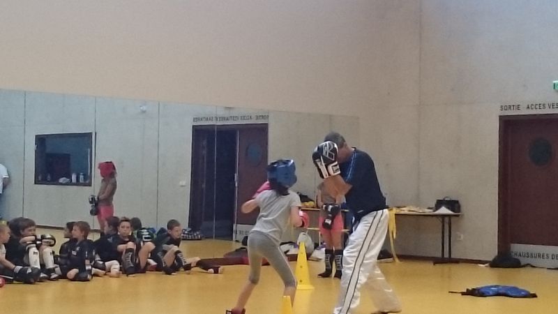Passage ceintures jeunes 2015 - Energy Fight Club dsc_0130.jpg (large)