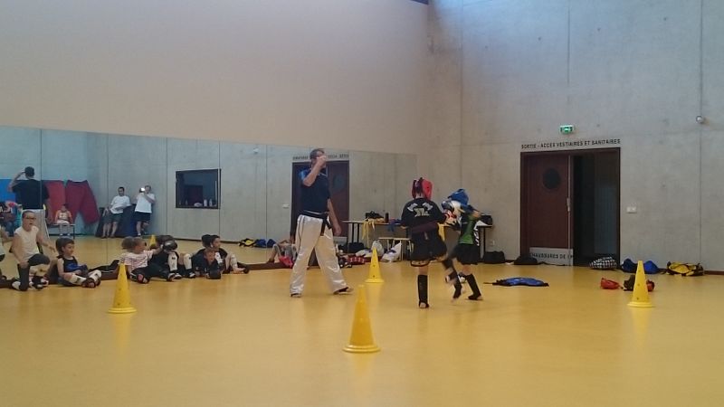 Passage ceintures jeunes 2015 - Energy Fight Club dsc_0132.jpg (large)