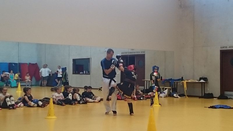 Passage ceintures jeunes 2015 - Energy Fight Club dsc_0133.jpg (large)