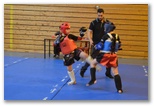 Championnats de Franche-Comté du Kick-Boxing et de Boxe Thaï.Besancon le 22 novembre 2014 - Energy Fight Club: championnat_2014__19_.jpg