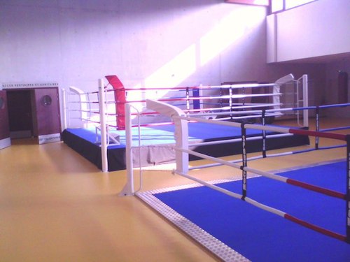 Energy Fight Club