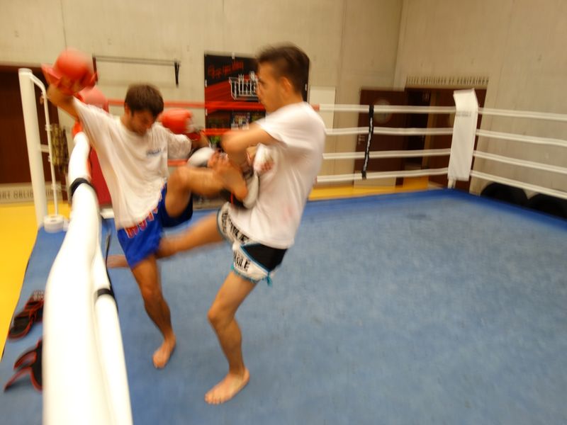 Entrainement du 18 juin 2015 - Energy Fight Club dsc00645.jpg (large)
