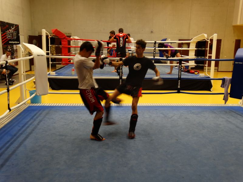 Entrainement du 18 juin 2015 - Energy Fight Club dsc00701.jpg (large)