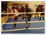 Entrainement du 18 juin 2015 - Energy Fight Club: dsc00535.jpg