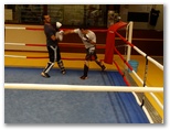 Entrainement du 18 juin 2015 - Energy Fight Club: dsc00565.jpg