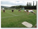 Séance de fractionner et renforcement musculaire au stade .Lundi 31 aout 2015 - Energy Fight Club: dsc00212.jpg