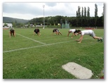 Séance de fractionner et renforcement musculaire au stade .Lundi 31 aout 2015 - Energy Fight Club: dsc00213.jpg