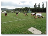 Séance de fractionner et renforcement musculaire au stade .Lundi 31 aout 2015 - Energy Fight Club: dsc00216.jpg