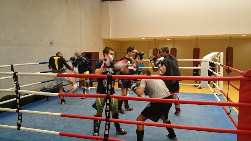 Entrainement du samedi matin enfants et adultes - Energy Fight Club dsc_0066.jpg (large)