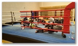 Entrainement du samedi matin enfants et adultes - Energy Fight Club: dsc_0074.jpg