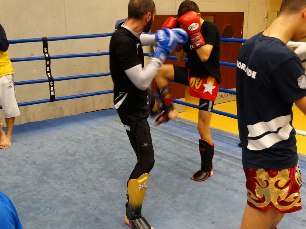 Entrainement du 17 décembre 2015 - Energy Fight Club dsc00929.jpg (large)