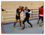 Entrainement du 17 décembre 2015 - Energy Fight Club: dsc00844.jpg