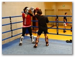 Energy Fight Club