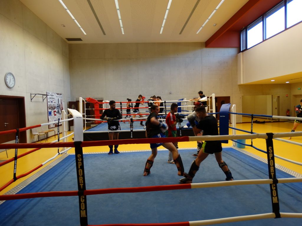 Entrainement interclubs Pontarlier & Oyonax .Lons le Saunier le 10 avril 2016 - Energy Fight Club dsc01934.jpg (large)