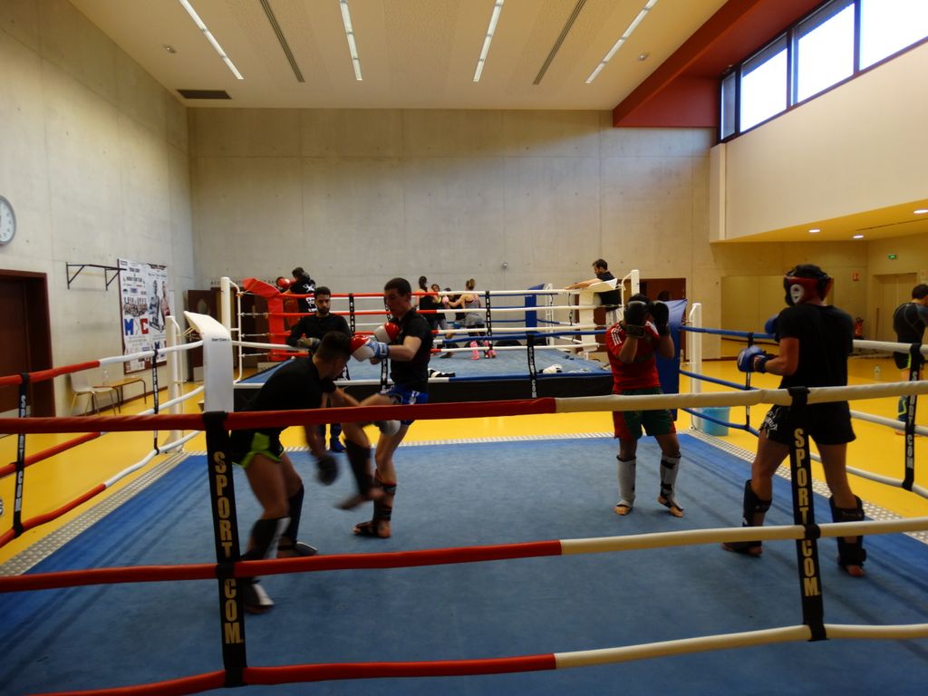 Entrainement interclubs Pontarlier & Oyonax .Lons le Saunier le 10 avril 2016 - Energy Fight Club dsc01935.jpg (large)