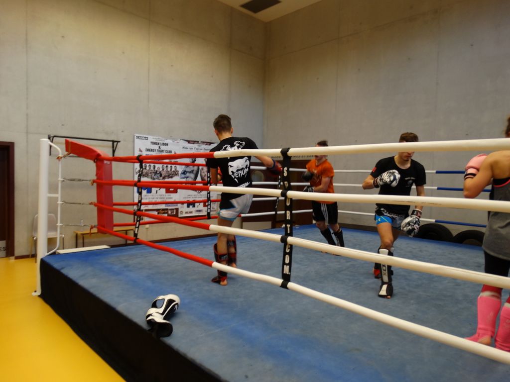 Entrainement interclubs Pontarlier & Oyonax .Lons le Saunier le 10 avril 2016 - Energy Fight Club dsc01938.jpg (large)