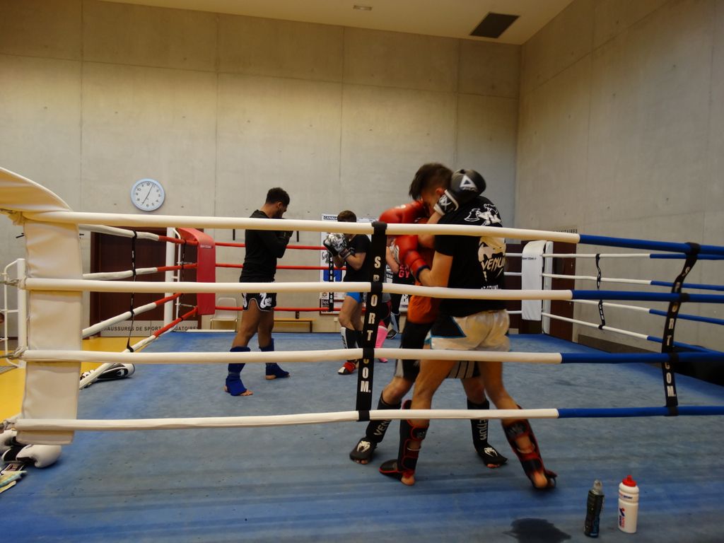 Entrainement interclubs Pontarlier & Oyonax .Lons le Saunier le 10 avril 2016 - Energy Fight Club dsc01951.jpg (large)