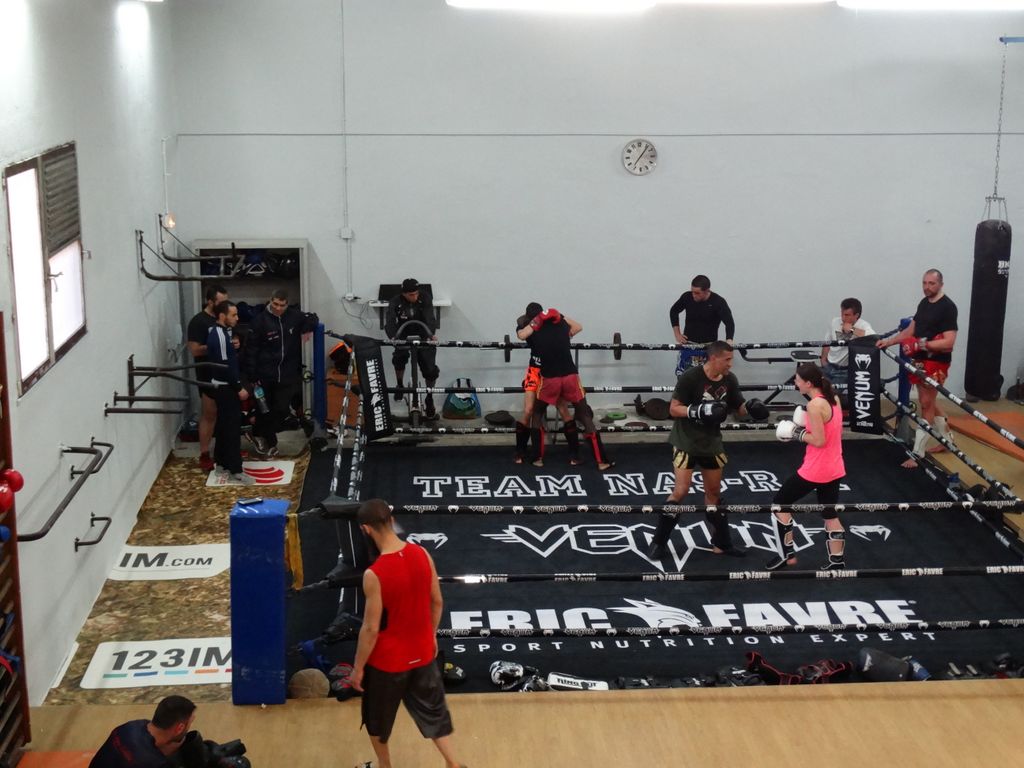 Entrainement à Saint Fons le 12 avril 2016 - Energy Fight Club dsc01986.jpg (large)