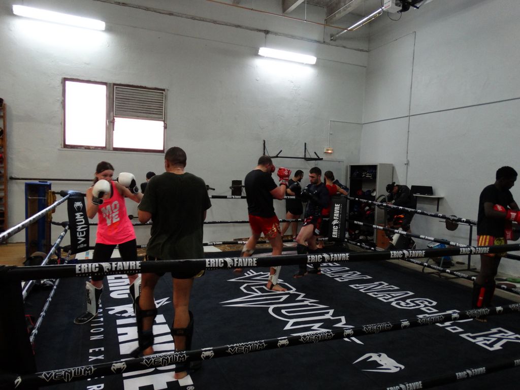 Entrainement à Saint Fons le 12 avril 2016 - Energy Fight Club dsc01993.jpg (large)