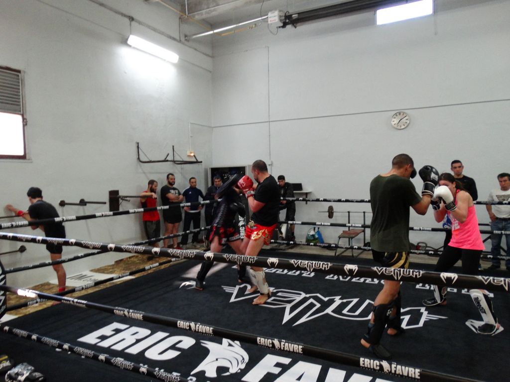 Entrainement à Saint Fons le 12 avril 2016 - Energy Fight Club dsc01997.jpg (large)