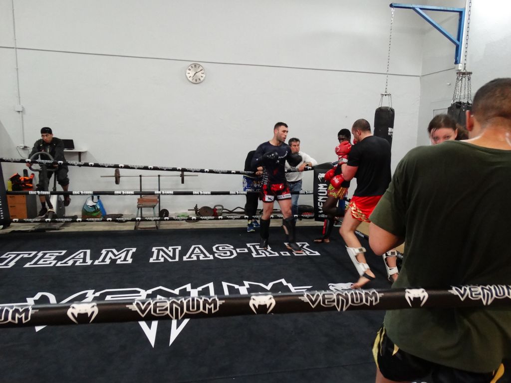Entrainement à Saint Fons le 12 avril 2016 - Energy Fight Club dsc02000.jpg (large)
