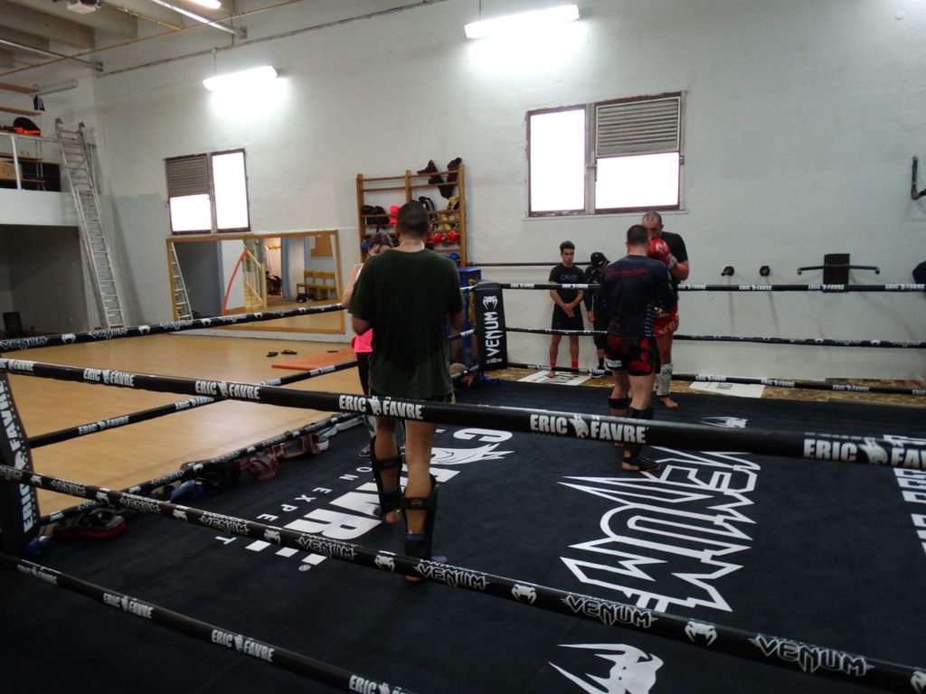 Entrainement à Saint Fons le 12 avril 2016 - Energy Fight Club dsc02025.jpg (large)