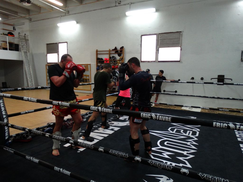Entrainement à Saint Fons le 12 avril 2016 - Energy Fight Club dsc02027.jpg (large)