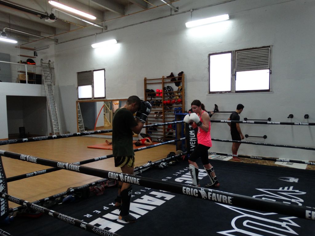 Entrainement à Saint Fons le 12 avril 2016 - Energy Fight Club dsc02029.jpg (large)