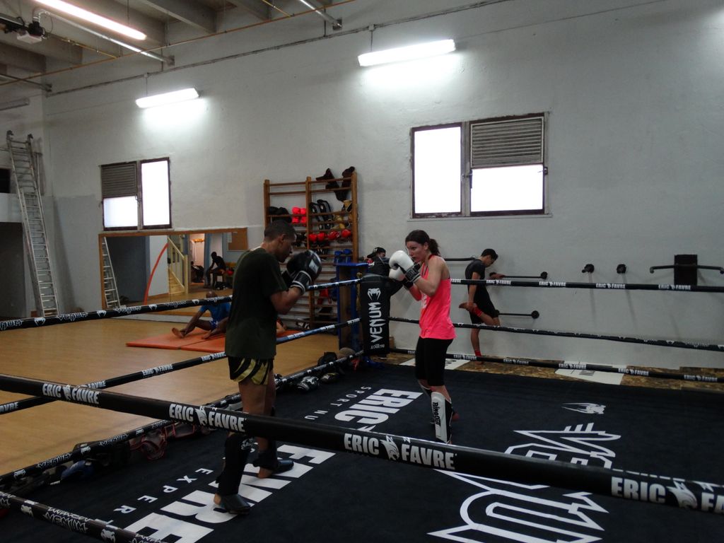 Entrainement à Saint Fons le 12 avril 2016 - Energy Fight Club dsc02030.jpg (large)