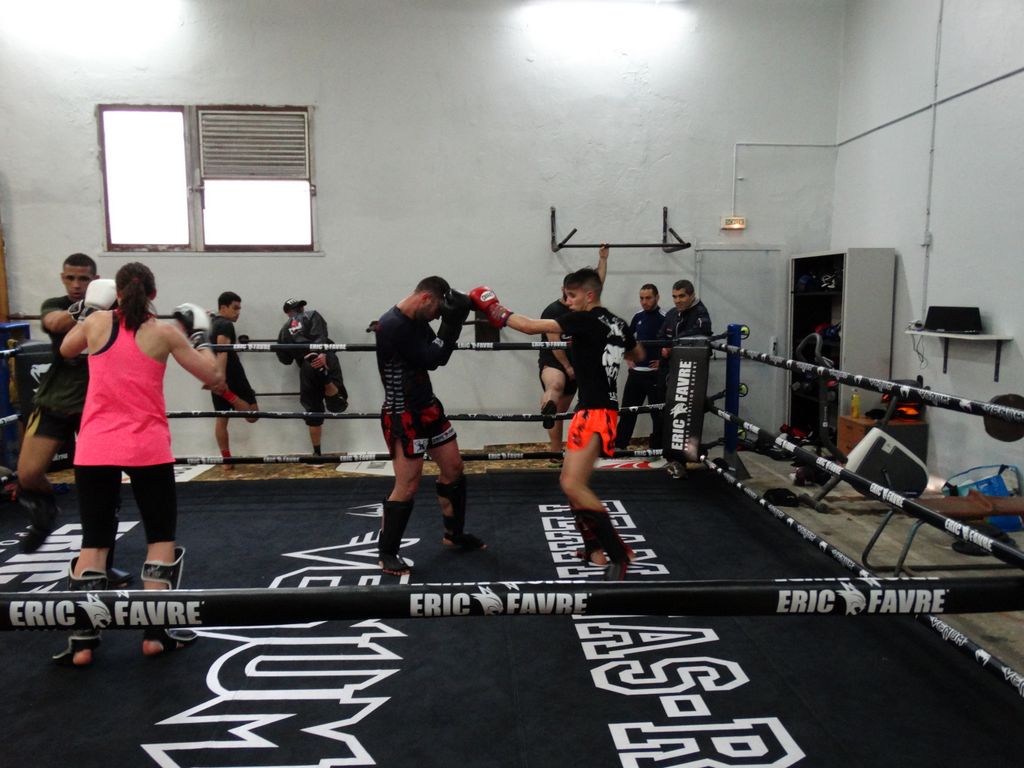 Entrainement à Saint Fons le 12 avril 2016 - Energy Fight Club dsc02035.jpg (large)