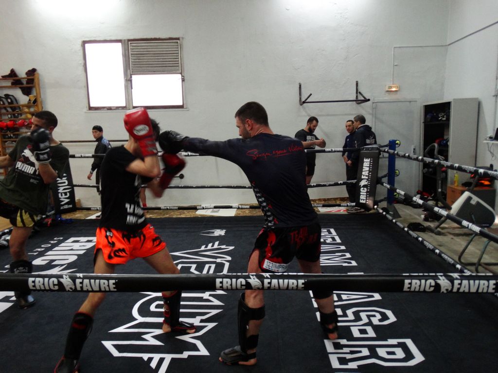 Entrainement à Saint Fons le 12 avril 2016 - Energy Fight Club dsc02037.jpg (large)