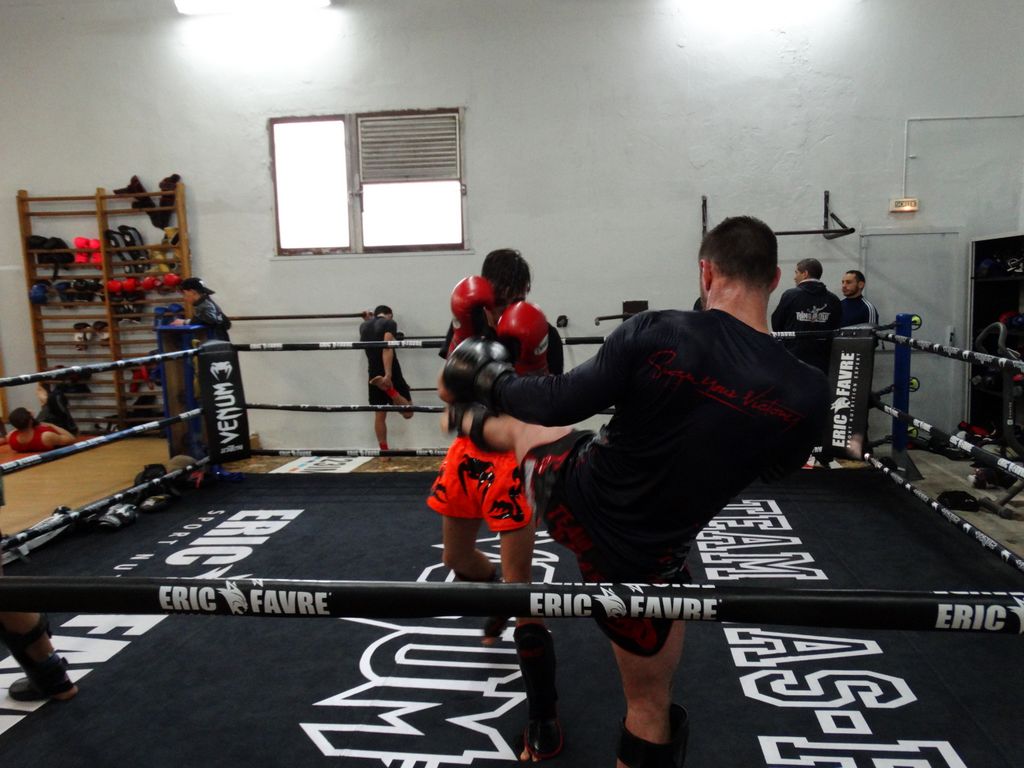Entrainement à Saint Fons le 12 avril 2016 - Energy Fight Club dsc02038.jpg (large)