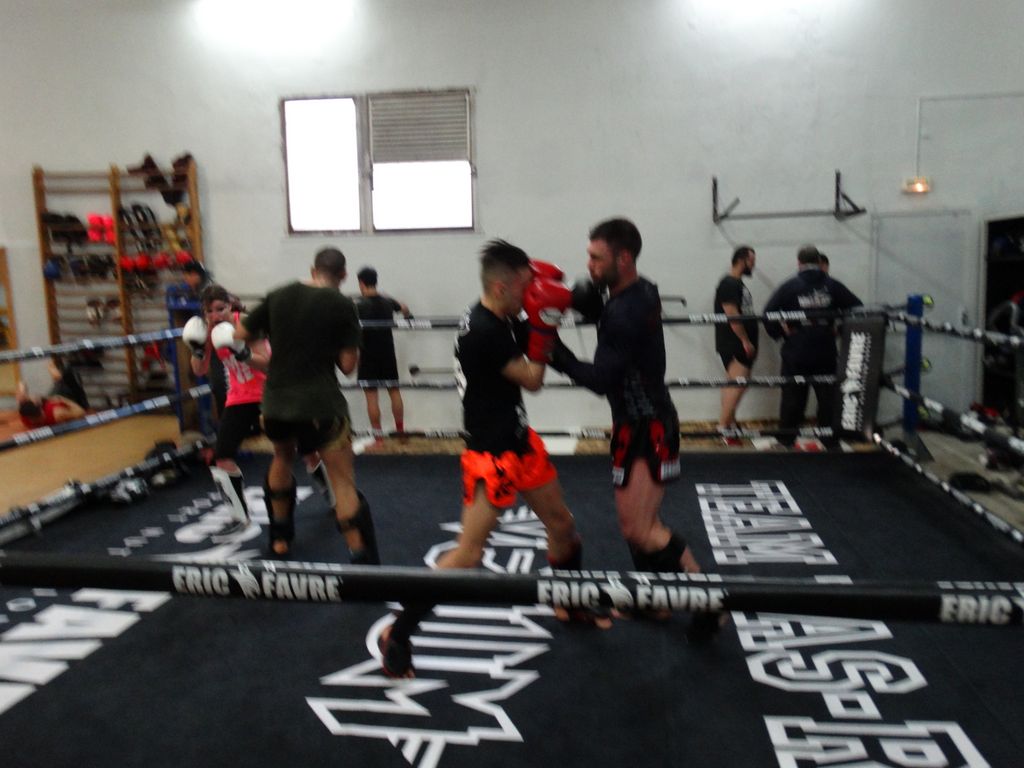 Entrainement à Saint Fons le 12 avril 2016 - Energy Fight Club dsc02040.jpg (large)