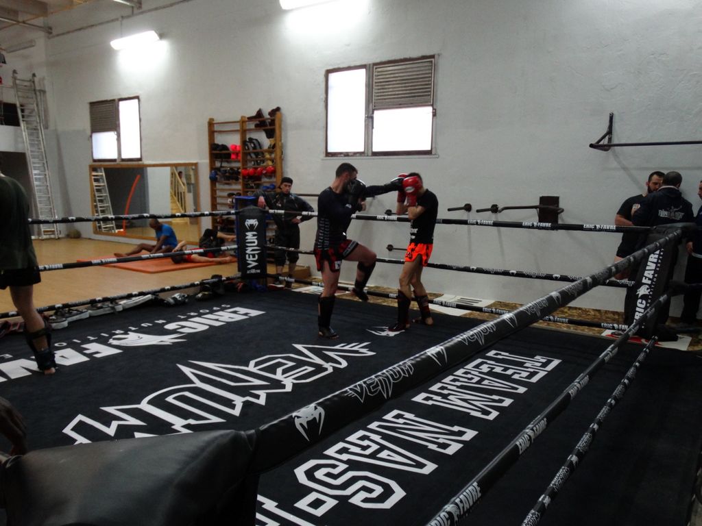 Entrainement à Saint Fons le 12 avril 2016 - Energy Fight Club dsc02046.jpg (large)