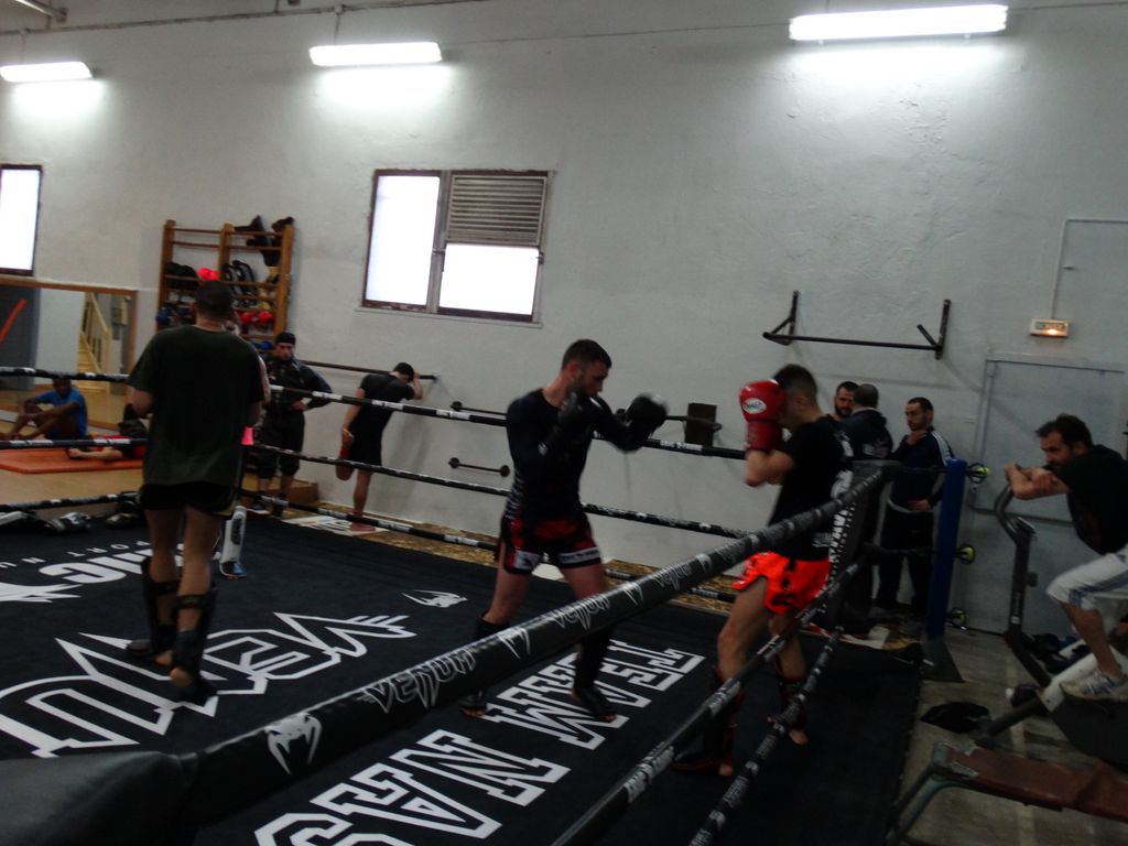 Entrainement à Saint Fons le 12 avril 2016 - Energy Fight Club dsc02049.jpg (large)