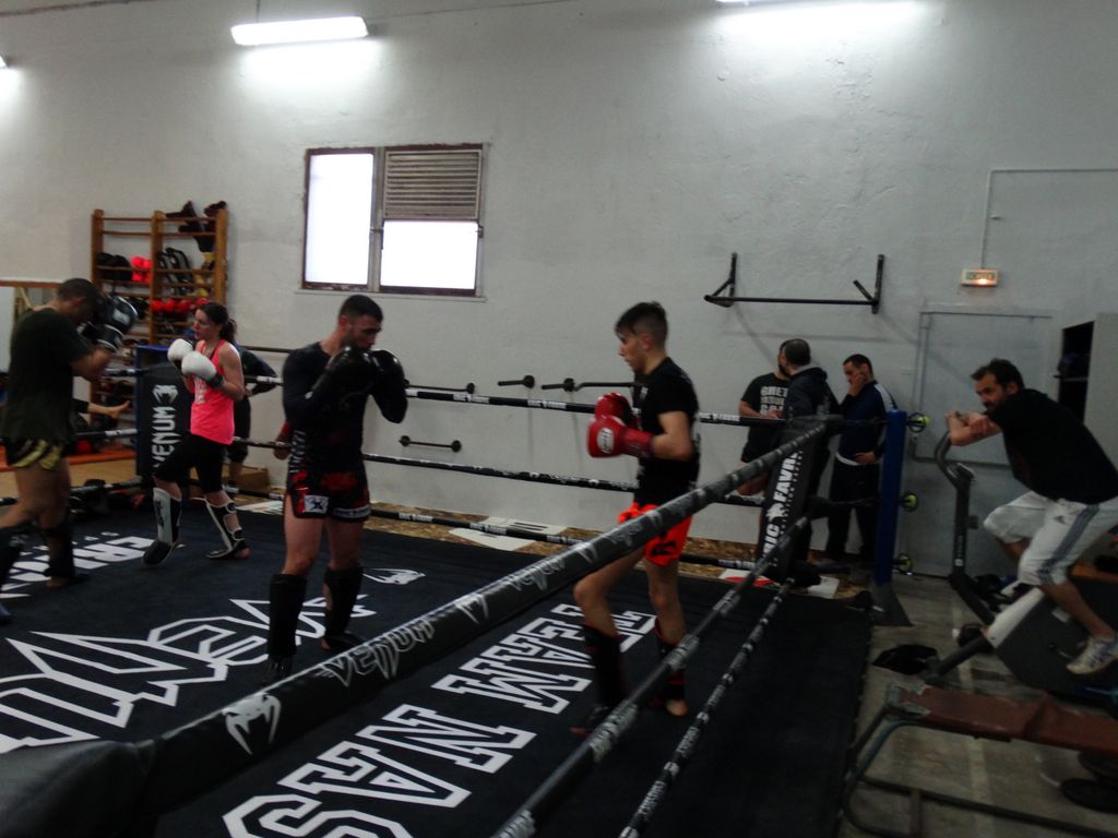 Entrainement à Saint Fons le 12 avril 2016 - Energy Fight Club dsc02050.jpg (large)