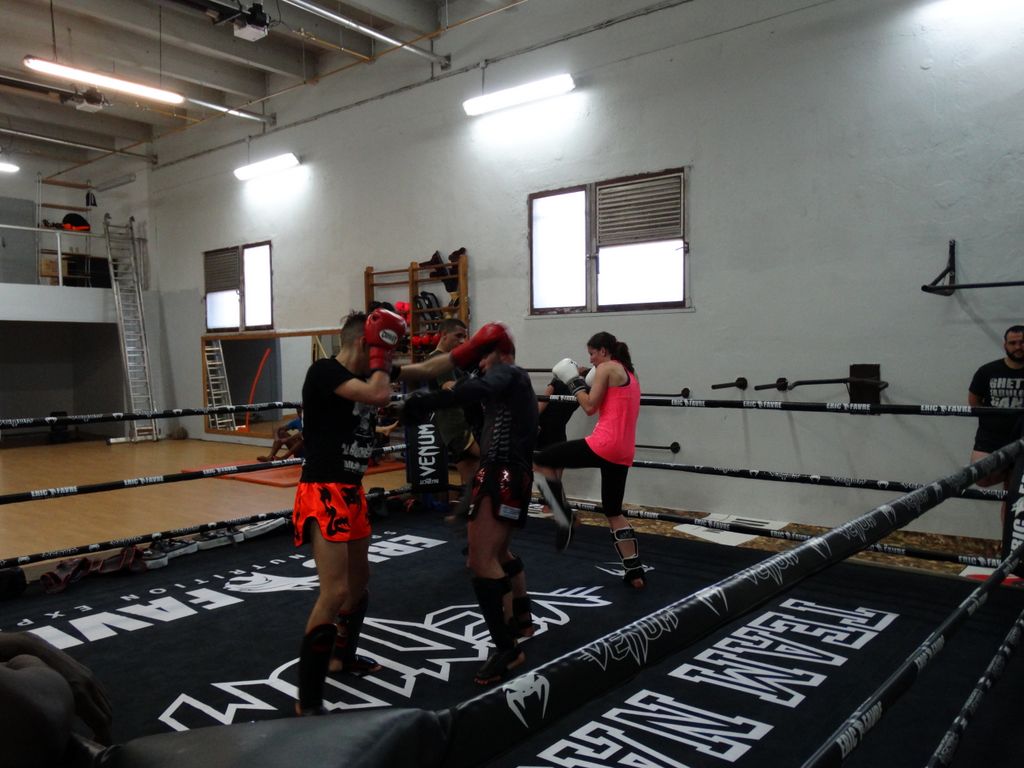 Entrainement à Saint Fons le 12 avril 2016 - Energy Fight Club dsc02052.jpg (large)