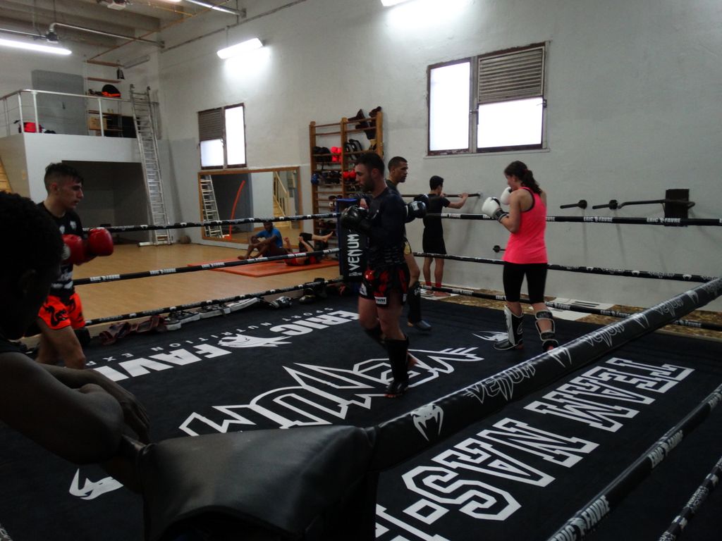 Entrainement à Saint Fons le 12 avril 2016 - Energy Fight Club dsc02053.jpg (large)