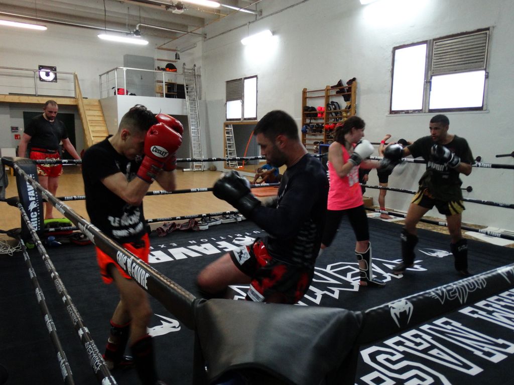Entrainement à Saint Fons le 12 avril 2016 - Energy Fight Club dsc02055.jpg (large)