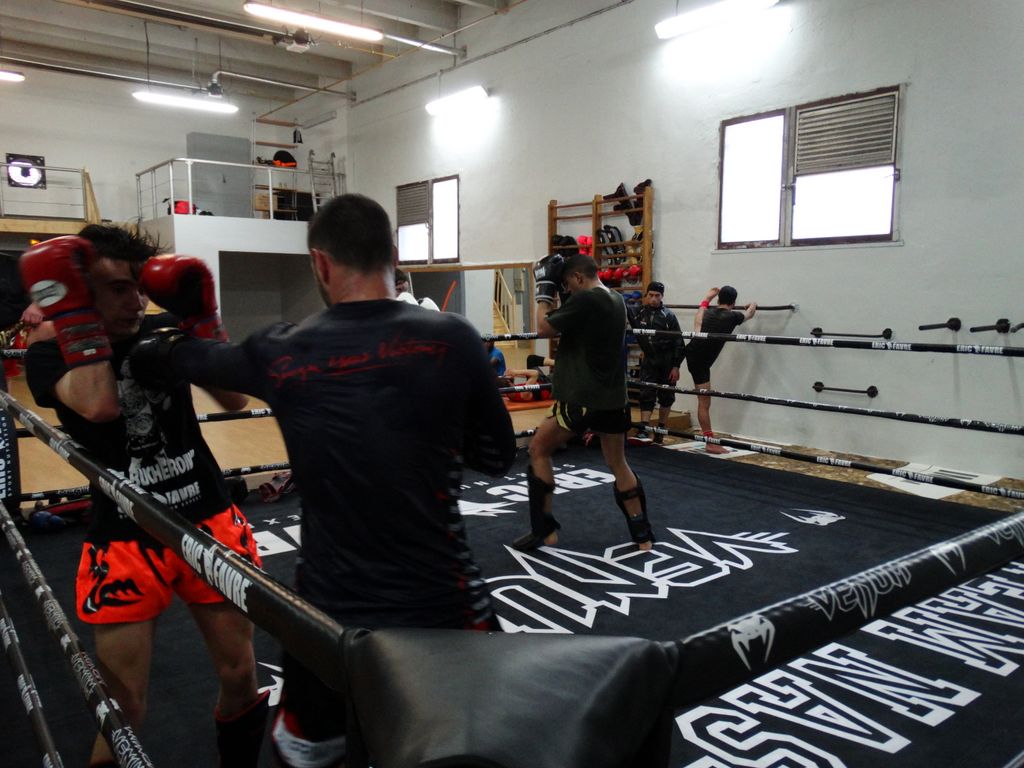 Entrainement à Saint Fons le 12 avril 2016 - Energy Fight Club dsc02056.jpg (large)