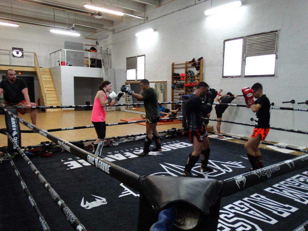 Entrainement à Saint Fons le 12 avril 2016 - Energy Fight Club dsc02057.jpg (large)