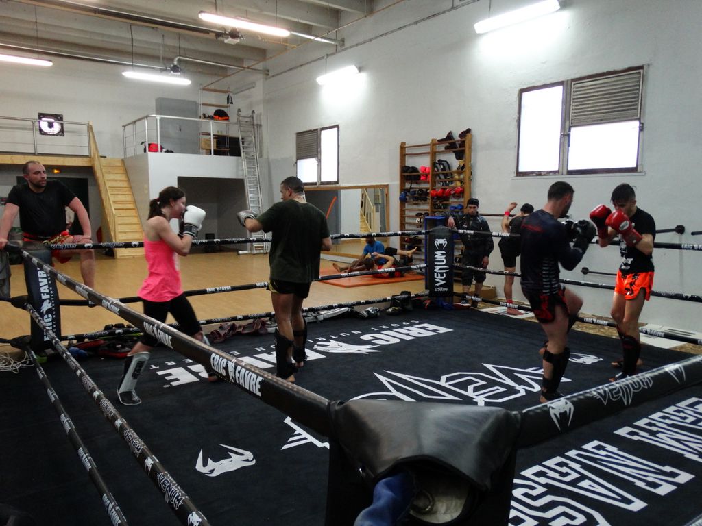 Entrainement à Saint Fons le 12 avril 2016 - Energy Fight Club dsc02058.jpg (large)