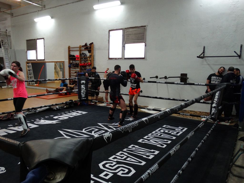 Entrainement à Saint Fons le 12 avril 2016 - Energy Fight Club dsc02060.jpg (large)