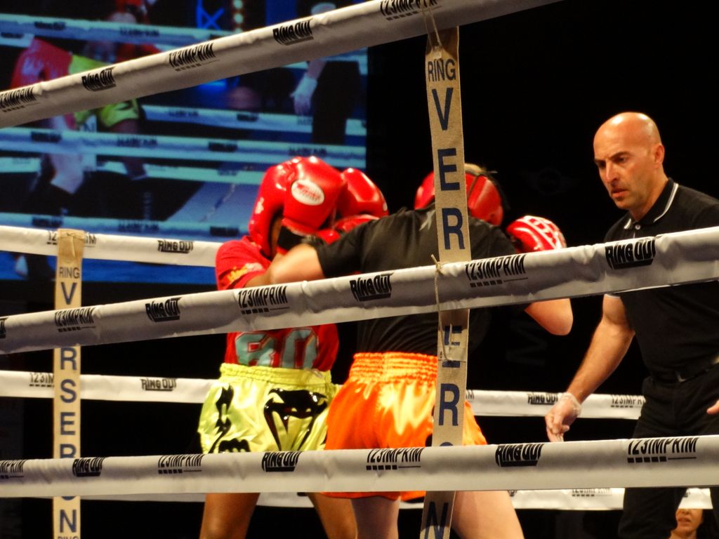 MFC 5.  Lons le Saunier 30 avril 2016 - Energy Fight Club dsc02190.jpg (large)