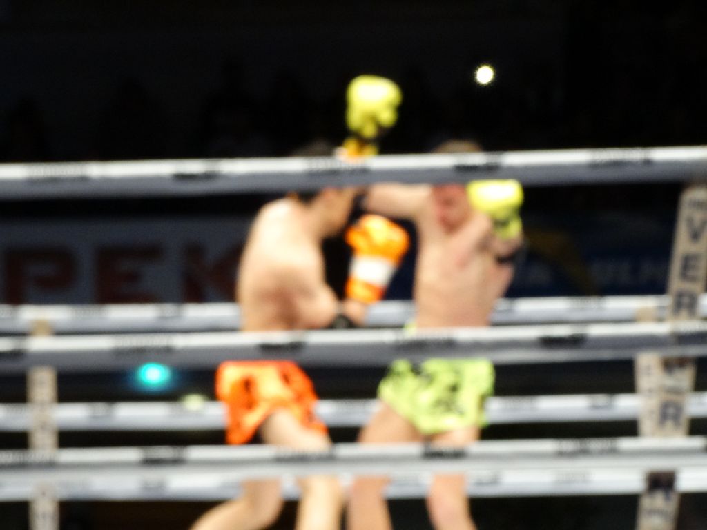 MFC 5.  Lons le Saunier 30 avril 2016 - Energy Fight Club dsc02208.jpg (large)