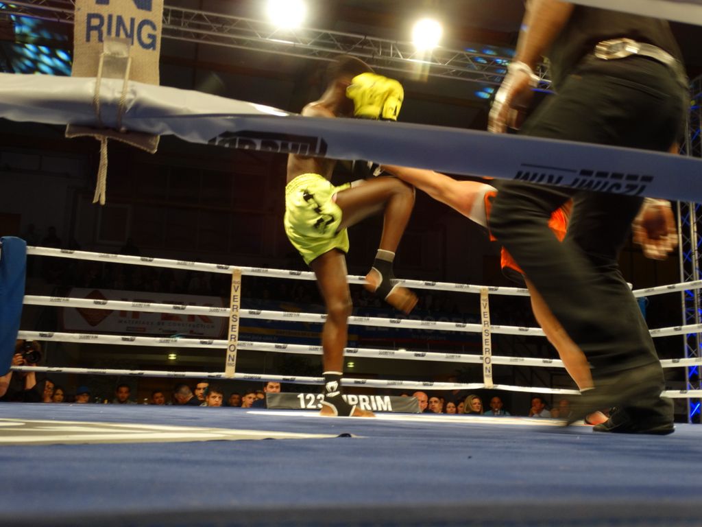 MFC 5.  Lons le Saunier 30 avril 2016 - Energy Fight Club dsc02240.jpg (large)
