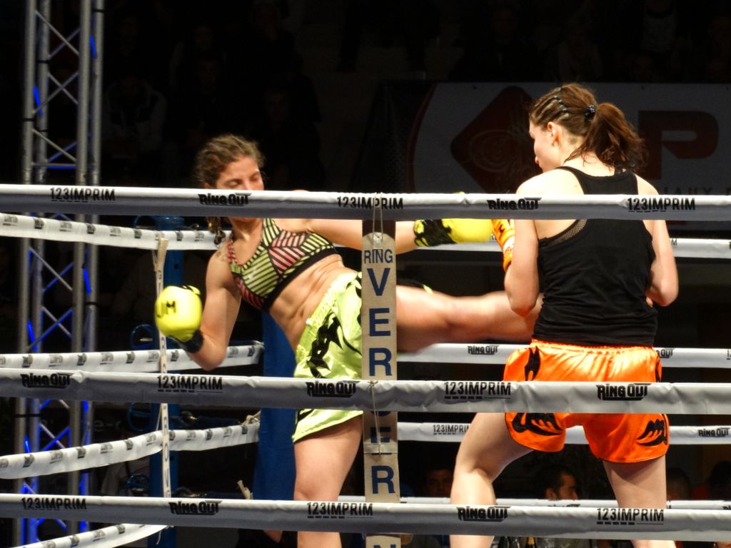 MFC 5.  Lons le Saunier 30 avril 2016 - Energy Fight Club dsc02315.jpg (large)