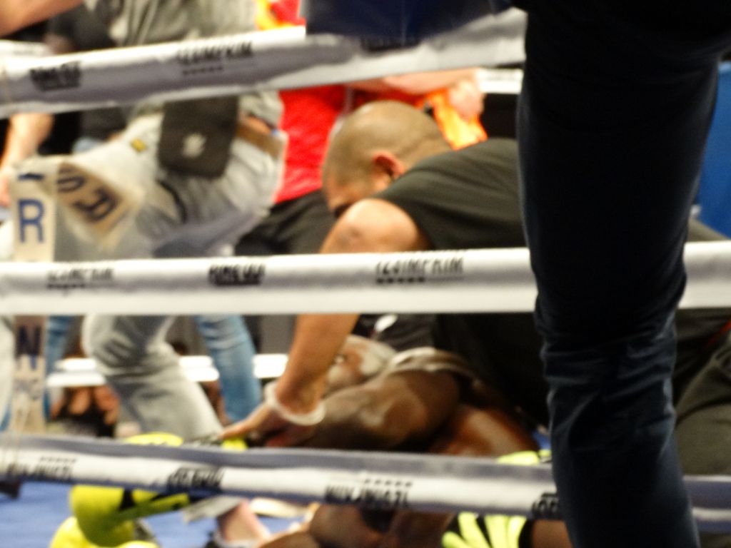 MFC 5.  Lons le Saunier 30 avril 2016 - Energy Fight Club dsc02352.jpg (large)